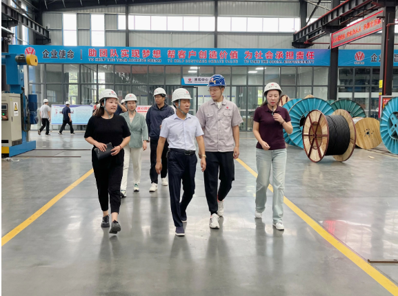華東電纜表示下半年將集中精力提高產(chǎn)品質(zhì)量，強化風險防控，積極應對市場訂單，全力以赴，確保完成全年經(jīng)營發(fā)展目標任務，進一步推動經(jīng)濟實現(xiàn)有效提升和合理增長。