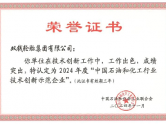 雙錢輪胎榮獲2024技術創(chuàng)新示范企業(yè)稱號